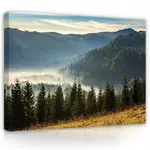 Wallarena PLÁTNO Příroda Hory Krajina 100x70