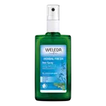 WELEDA Šalvějový deodorant 100 ml