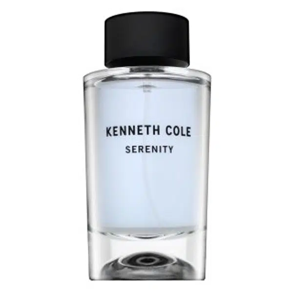Kenneth Cole Serenity toaletní voda pro muže 100 ml