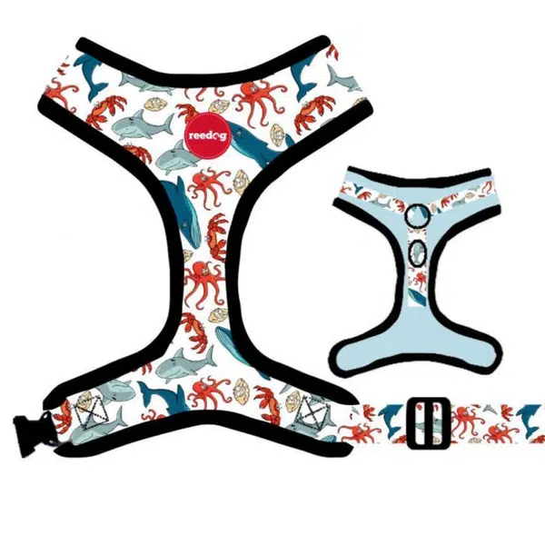 Reedog SEA | Postroj pre psa - XS