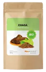 MYCOMEDICA Chaga prášok 100 g