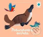 Podivuhodná zvířata (Poznávej dotykem) - Pascale Hédelín, Raphaëlle Michaud - kniha z kategorie Naučné knihy