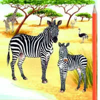 Safari Omalovánky - Od tečky k tečce + grafitová tužka s gumou