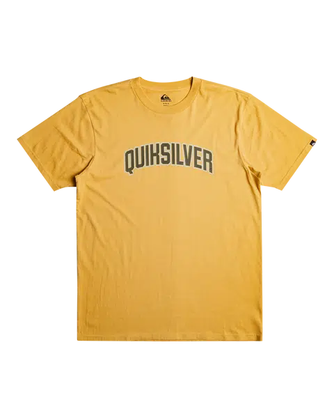 Men's T-shirt Quiksilver Scholarship