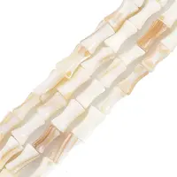 Natural Freshwater Shell Beads Strands