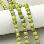 Dyed Natural Dolomite Beads Strands