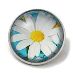 Round Glass Brooches