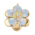 304 Stainless Steel and Acrylic and Plastic Pendants