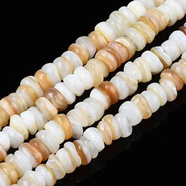 Natural Freshwater Shell Beads Strands