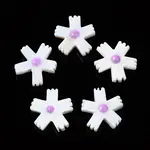 Natural Freshwater Shell Beads