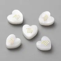 5Pcs Natural White Shell Beads