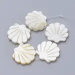 Natural Freshwater Shell Beads