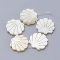 Natural Freshwater Shell Beads
