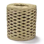 Raffia Ribbon