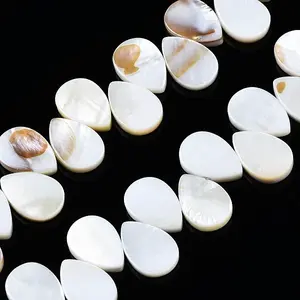 Natural Freshwater Shell Beads Strands
