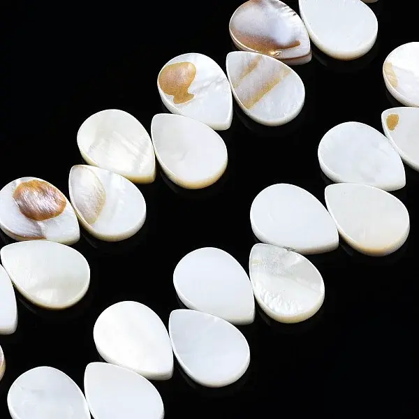 Natural Freshwater Shell Beads Strands