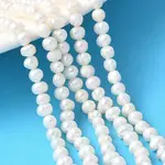 Natural Cultured Freshwater Pearl Beads Strands
