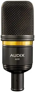Audix A231