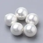 Shell Pearl Beads