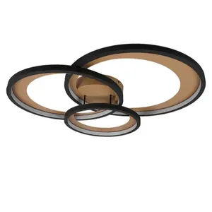 Trio Granada led stropné osvetlenie čierna 673810332 TR673810332