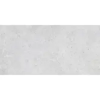 Dlažba Multi Desert light grey 30x60 cm mat DESER36LGR