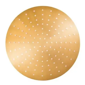 Hlavová sprcha RAV SLEZÁK bez príslušenstva zlatá lesklá KS0001/4Z