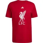 adidas LIVERPOOL FC DNA GR TEE Pánské triko, červená, velikost