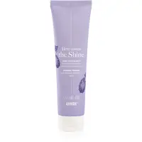 Anwen Here Comes The Shine Shining Primer For Medium Porosity Hair podkladová báze na vlasy 100 ml