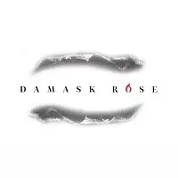 Damask Rose – A Temporary Inconvenience