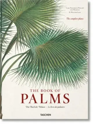 Martius. The Book of Palms - Lack Walter H.