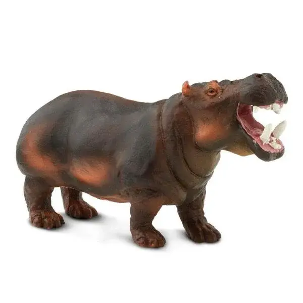 Safari® Hroch obojživelný