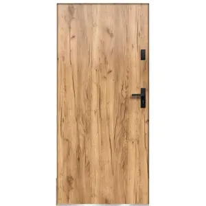 Vchodové dveře Artemida P55 90P Dub Sonoma
