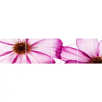 Skleněný panel 60/240 Flowers-1 4-Elem