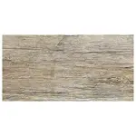 Dlažba Century Beige 31/62