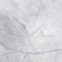 Dlažba Silver Heels Grey 59.8/59.8 Rekt.