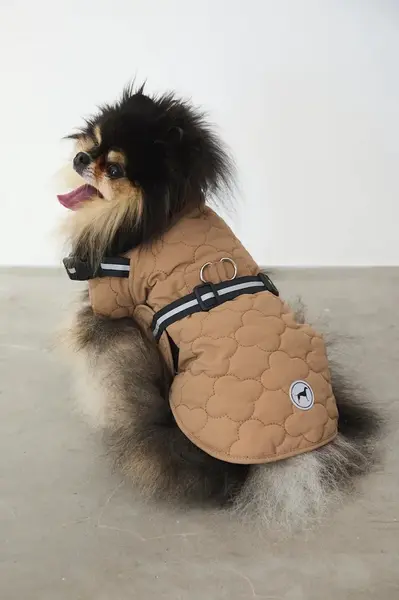 Bunda pro mazlíčka Medicine