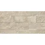 Dlažba Ardesia Taupe 31/62