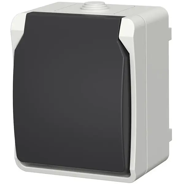 Zásuvka jednoduchá na omítku Aqua Plus IP54 vodotěsná šedá kryt šedý