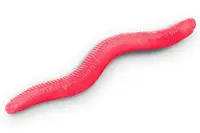 Delphin umelá nástraha b! stinxworm 4 cm 50 ks - fire / cheese