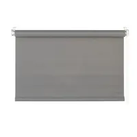 Homeware ROLETA, poloprůhledné, 60/160 cm