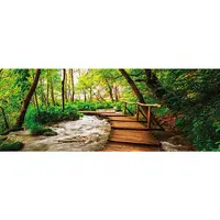 Euroart OBRAZ NA PLÁTNĚ, krajina a příroda, 80/30/3 cm