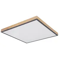 Globo LED PANEL, 59/59/6,5 cm