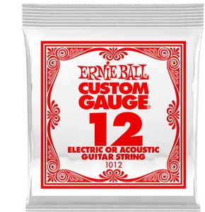 Ernie Ball 1012 Plain Steel Single .012