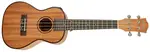 Cascha HH 2035E Concert Mahogany Ukulele Set EQ