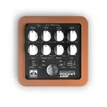 Palmer Pocket Amp Acoustic