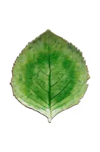 Costa Nova  Sada talířů  Riviera Hydrangea 22 cm 6-pack