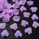 Transparent Acrylic Beads