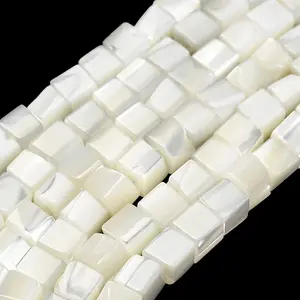 Natural Trochid Shell/Trochus Shell Beads Strands