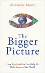 The Bigger Picture - Alexander Beiner
