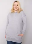Sweatshirt-RV-BL-6338.19X-gray